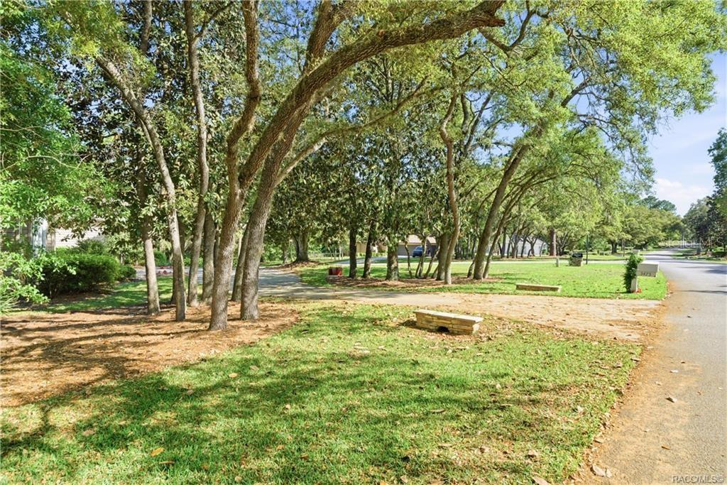 A grassy yard with mature trees and a stone bench sits beside a paved road — 3475 W WILD DUNES PLACE, LECANTO, FL