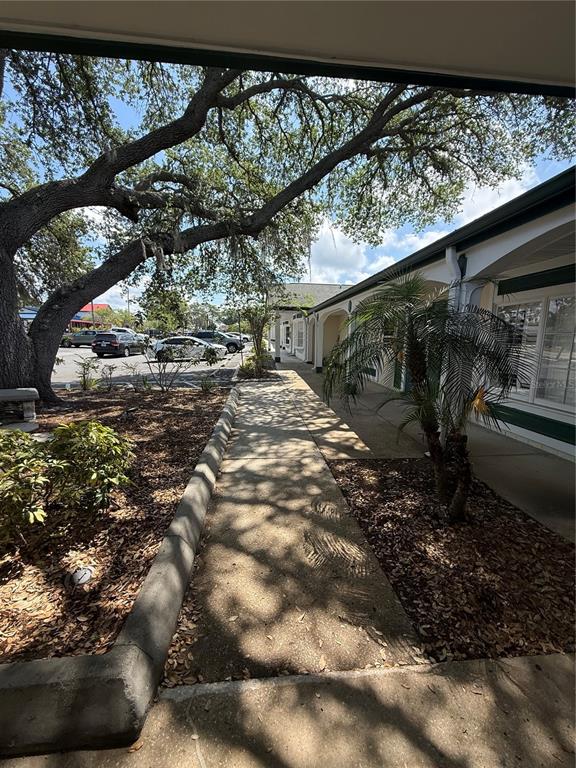 A concrete walkway leads past a building exterior with a palm tree and large oak — 28960 US HIGHWAY 19 N UNIT 110, CLEARWATER, FL