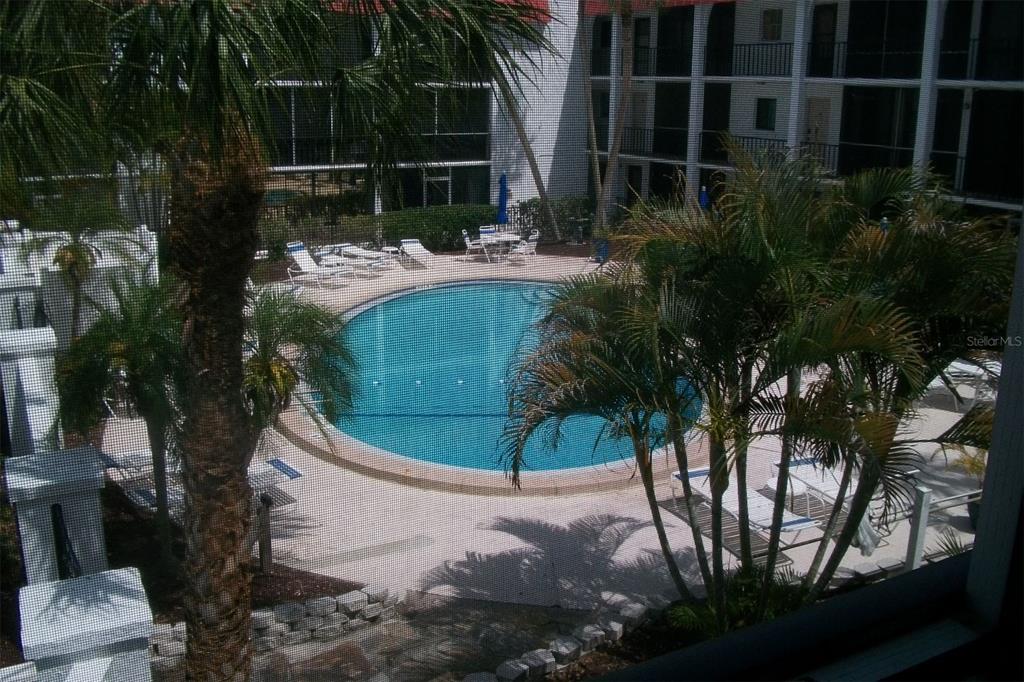 A view from a screened balcony overlooking a circular swimming pool surrounded by palm trees — 10540 77TH TERRACE UNIT 210, SEMINOLE, FL