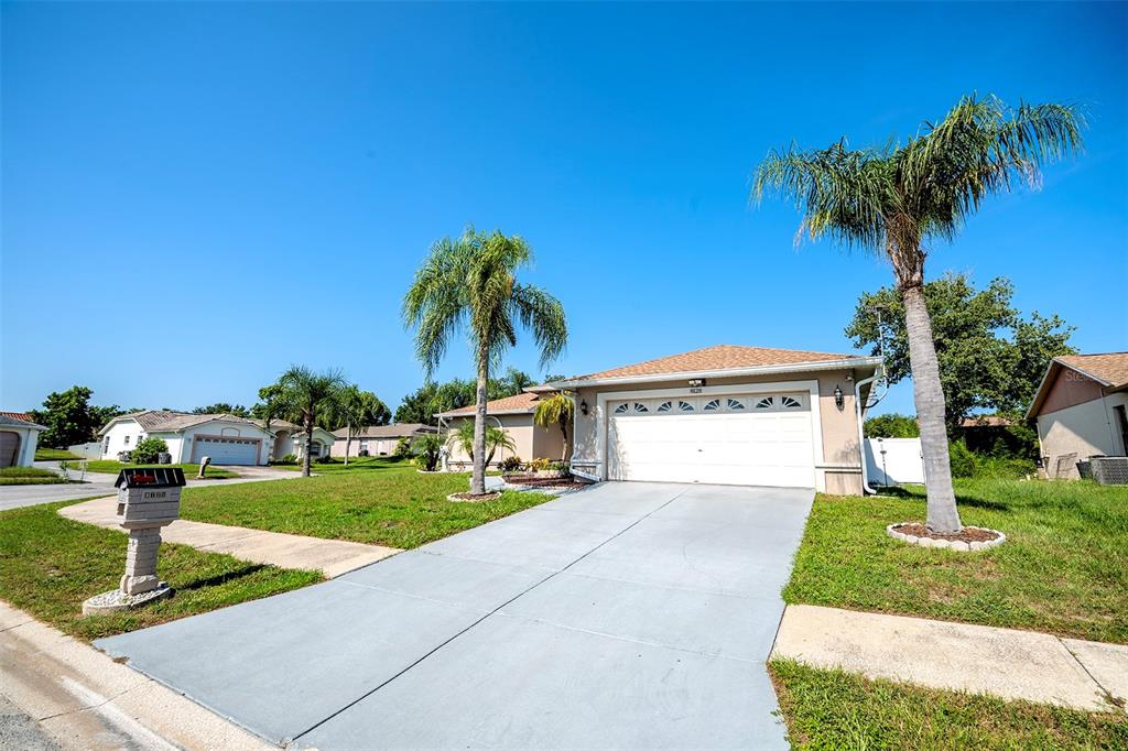 A single-story house with a white garage door and two palm trees in the front yard — 8128 GOLDEN BEAR LOOP, PORT RICHEY, FL