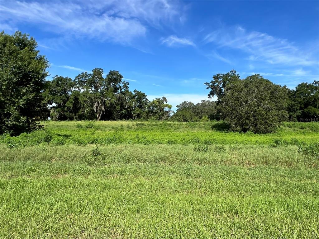 0 SE 8TH AVENUE Lot 5
