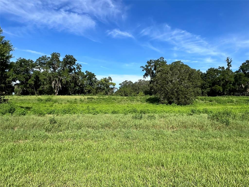 A wide, grassy field sits in front of a line of mature trees under a sky — 0 SE 8TH AVENUE Lot 5, OCALA, FL