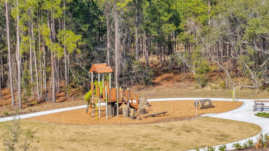 A playground with a slide and wooden structures sits on wood chips near a forest — 5978 FLOWERING CHERRY BEND, WINTER GARDEN, FL