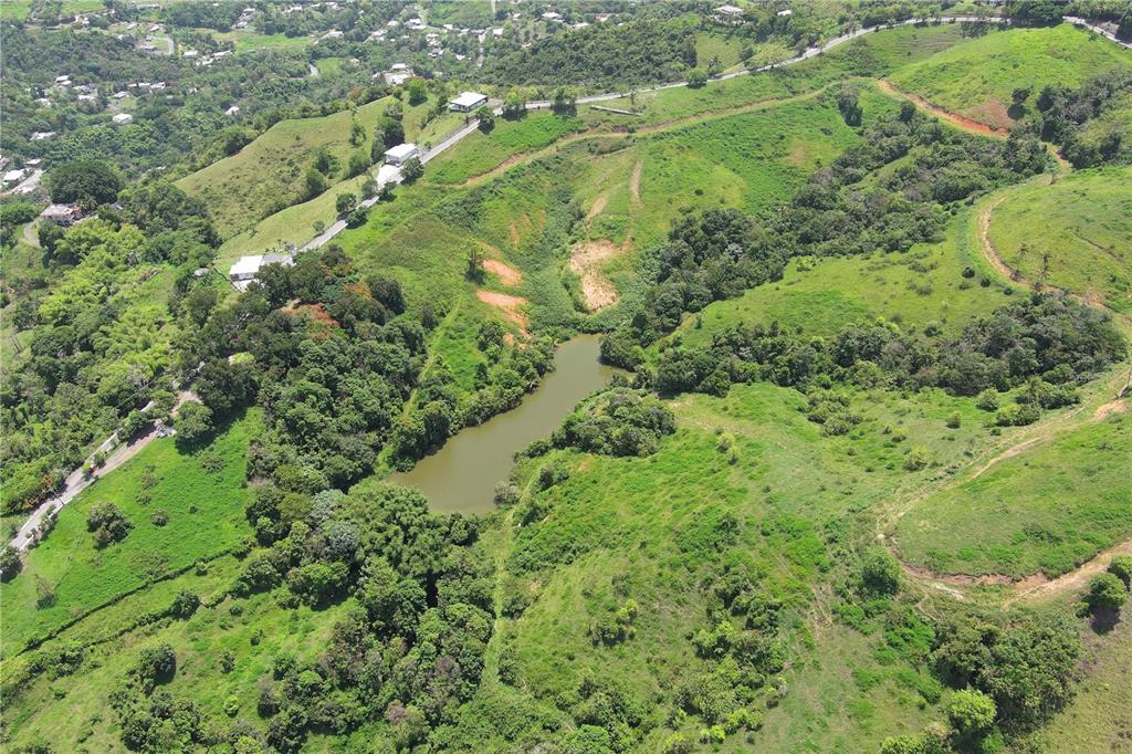 An aerial view shows a small pond surrounded by green hills and a winding road — FINCA MORALES BO. BARRAZAS, CAROLINA, PR