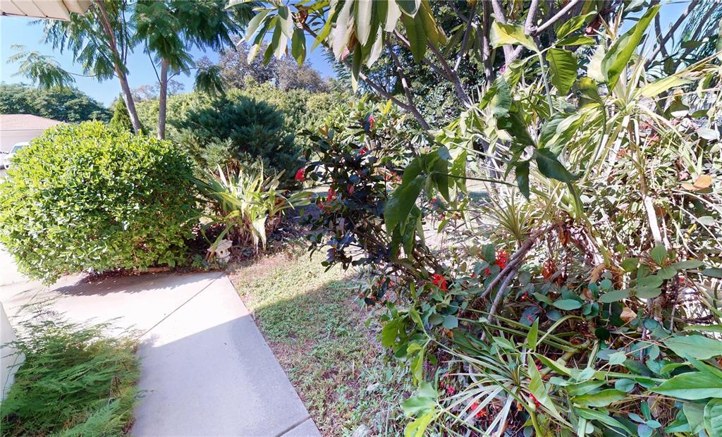 A concrete walkway leads past a lush garden with various shrubs and trees — 18422 BURKHOLDER CIRCLE, PORT CHARLOTTE, FL