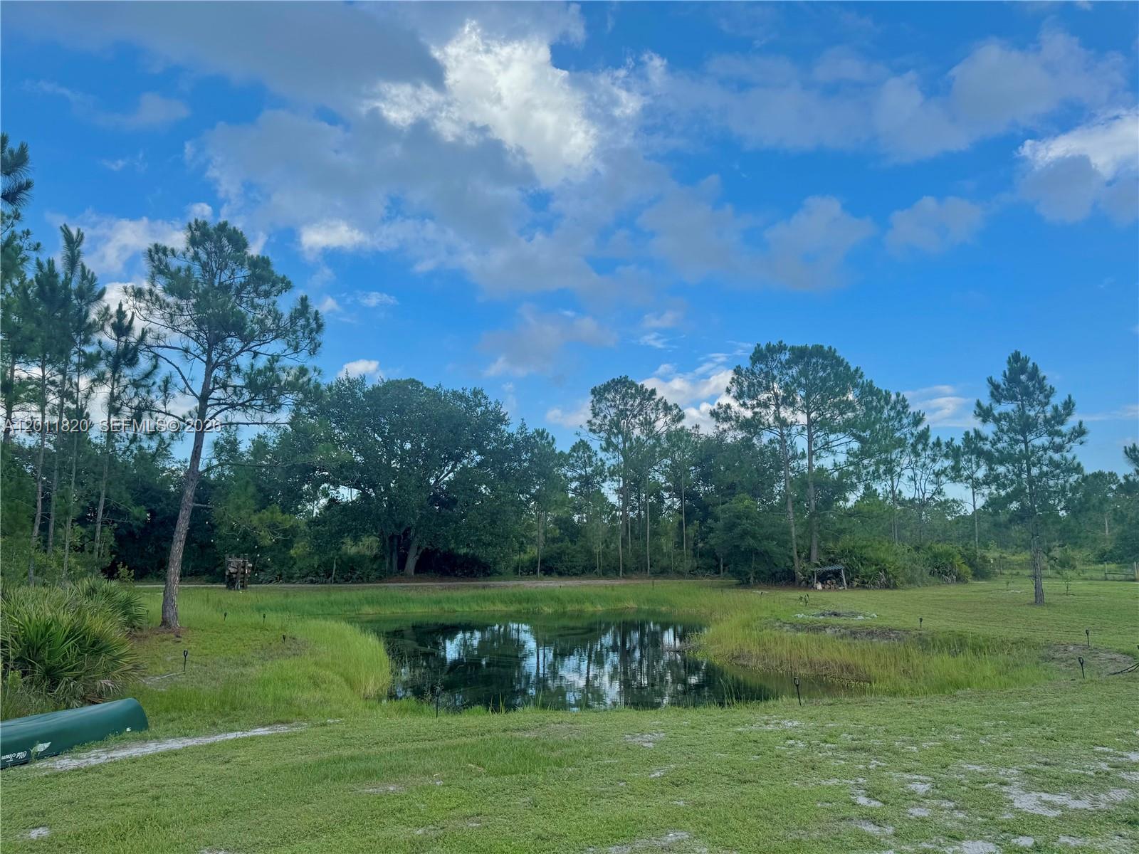 A small pond sits in the center of a grassy field surrounded by pine trees — 1000 NE 365 Lane, Okeechobee FL 34972, OKEECHOBEE, FL
