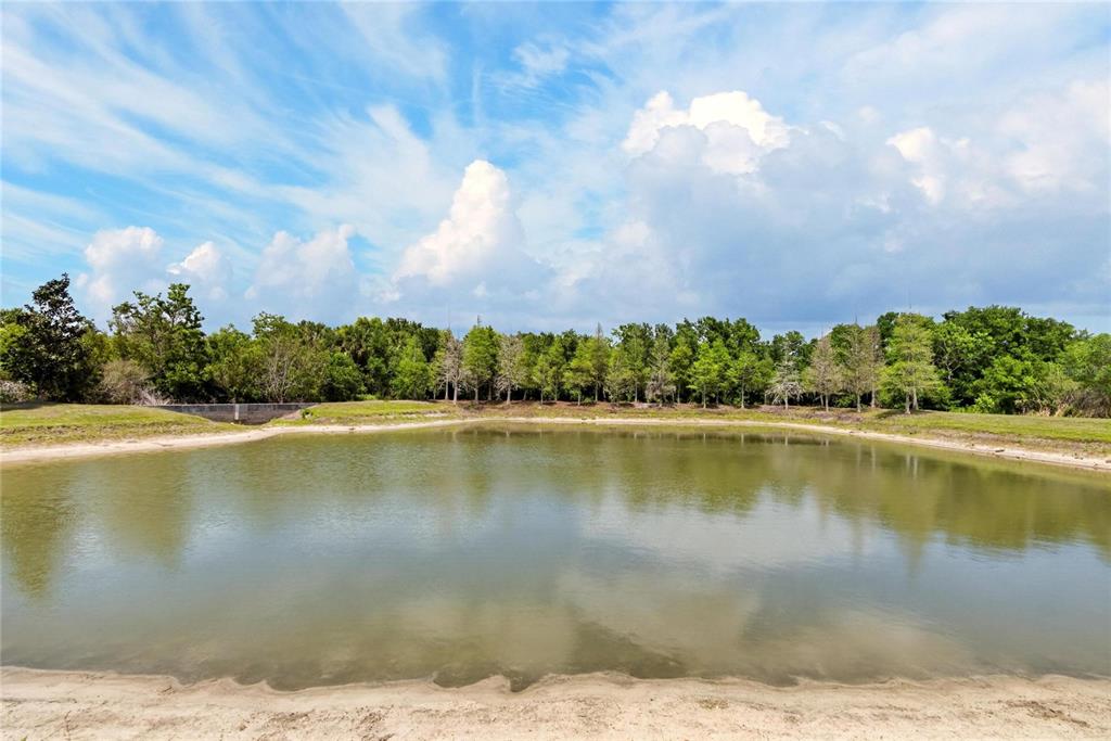 8850 INDIGO TRAIL LOOP, RIVERVIEW, FL — photo 3 of 30