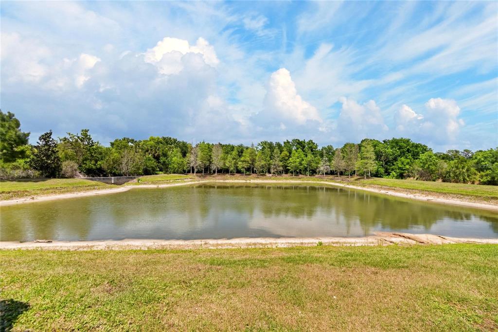 8850 INDIGO TRAIL LOOP, RIVERVIEW, FL — photo 4 of 30