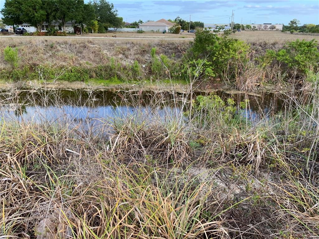 A narrow drainage canal runs through a grassy field with houses in the background — 1830 NE 14TH STREET, CAPE CORAL, FL