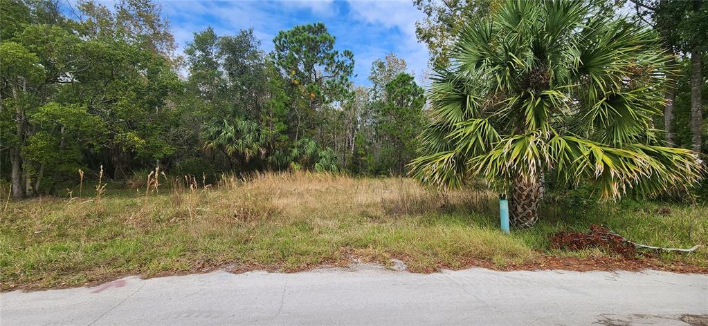 LOT 285 CUTLASS DRIVE, HUDSON, FL — photo 3 of 13