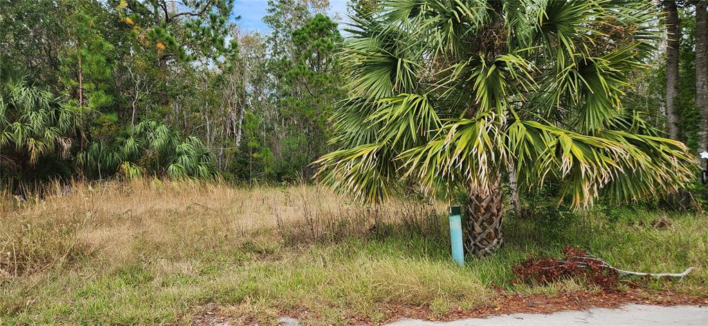 LOT 285 CUTLASS DRIVE, HUDSON, FL — photo 4 of 13