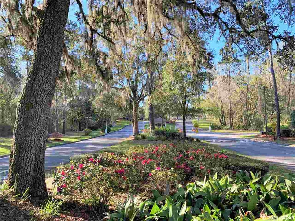 A paved road winds through a landscaped residential area with large trees and flowering bushes — 000 NW 105TH AVENUE, ALACHUA, FL