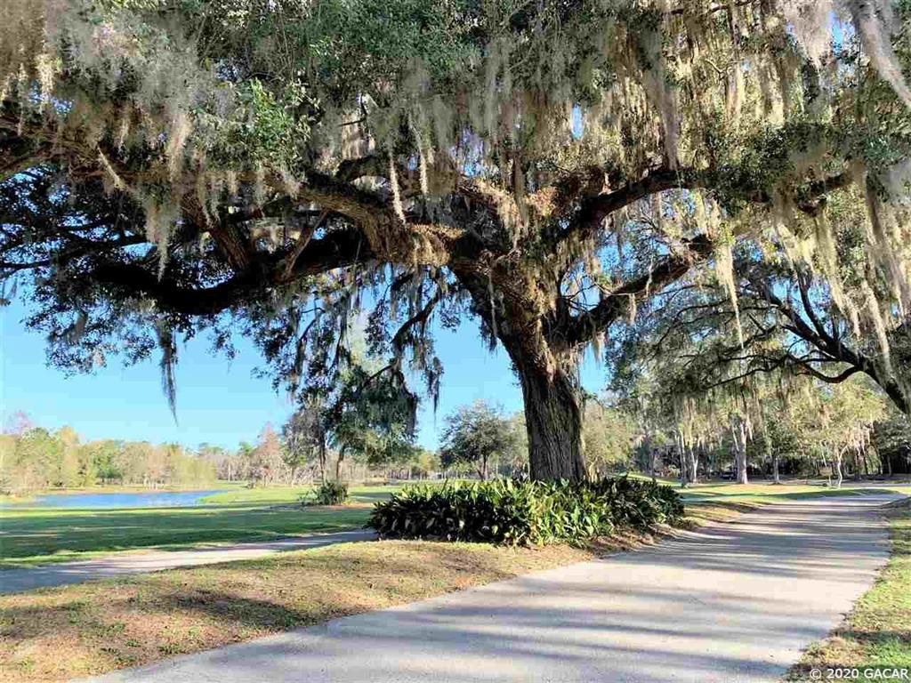 A large oak tree with Spanish moss stands beside a paved path near a pond — 000 NW 105TH AVENUE, ALACHUA, FL