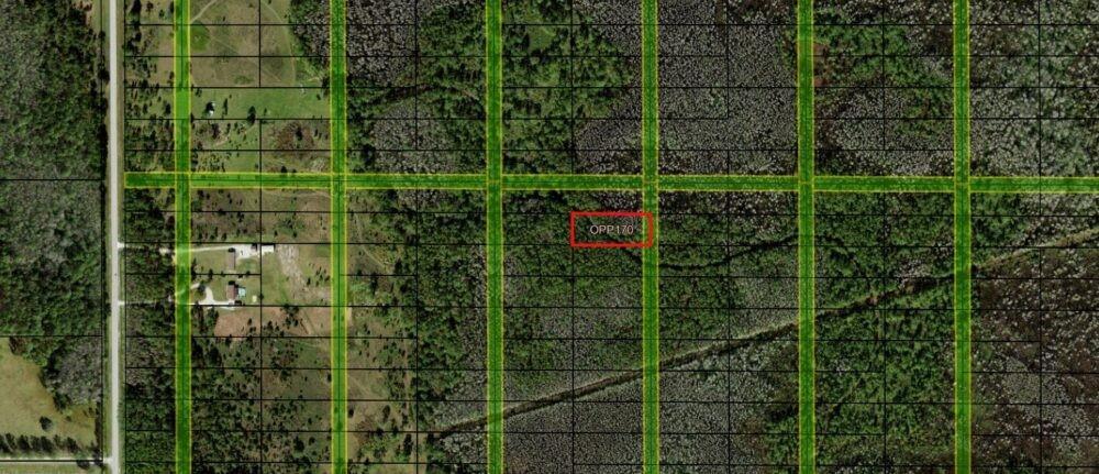 This aerial map shows a rectangular land parcel highlighted in red within a wooded area — 0 Old Grade Road, FL 33868, FL