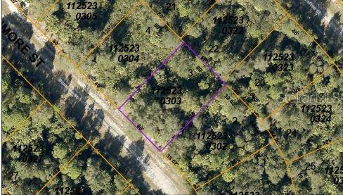 An aerial map view shows a rectangular plot of land outlined in purple — DUNMORE STREET, NORTH PORT, FL