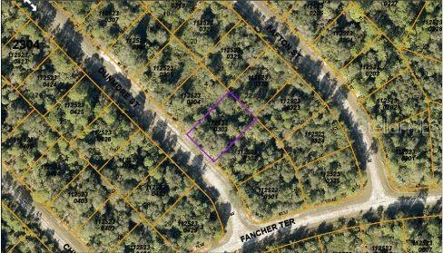 An aerial map shows a vacant, wooded residential lot outlined in purple near paved streets — DUNMORE STREET, NORTH PORT, FL