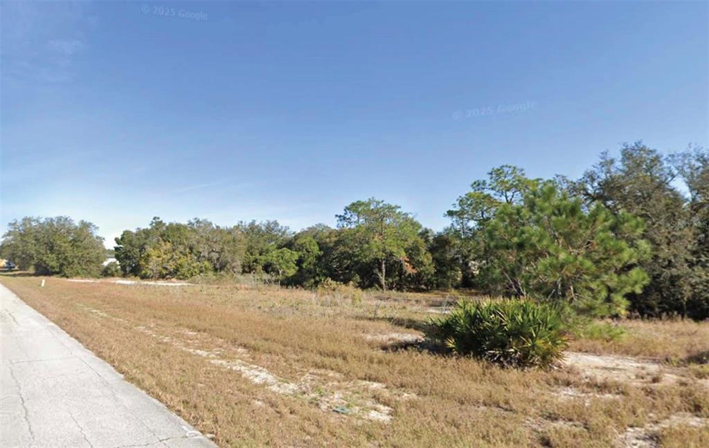 A vacant, grassy lot with scattered trees and shrubs borders a paved road — 1327 & 1329 HILLSBOROUGH DRIVE, KISSIMMEE, FL