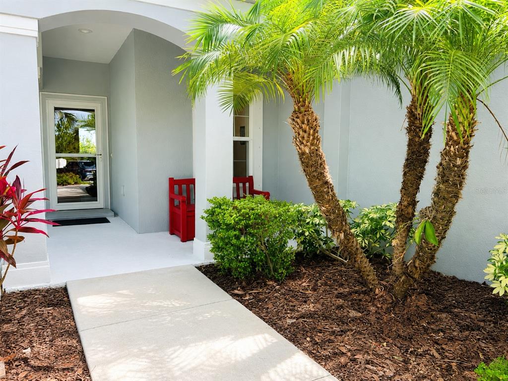 A concrete walkway leads to a covered entryway with a glass door and palm trees — 10806 PINE BLUFF GLEN, PARRISH, FL