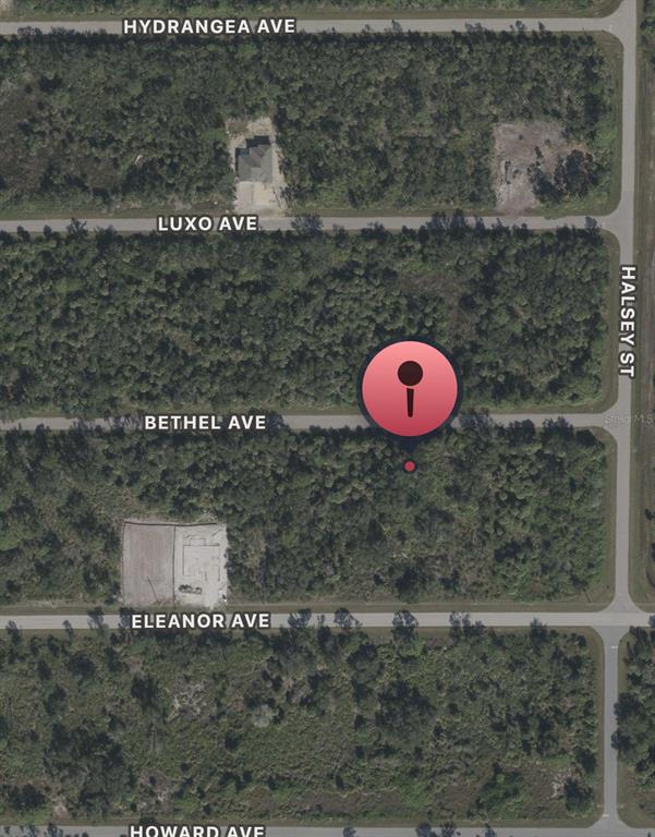 This is a satellite map view of a vacant residential lot marked with a pin — 14233 BETHEL AVENUE, PORT CHARLOTTE, FL