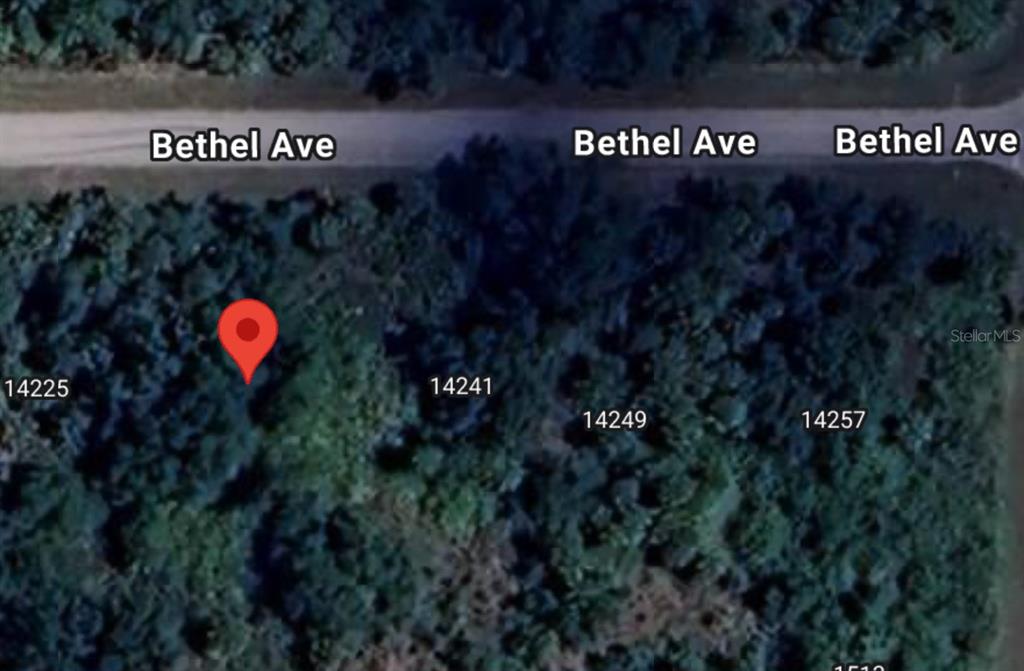 This is a satellite map view showing a wooded lot along a road — 14233 BETHEL AVENUE, PORT CHARLOTTE, FL