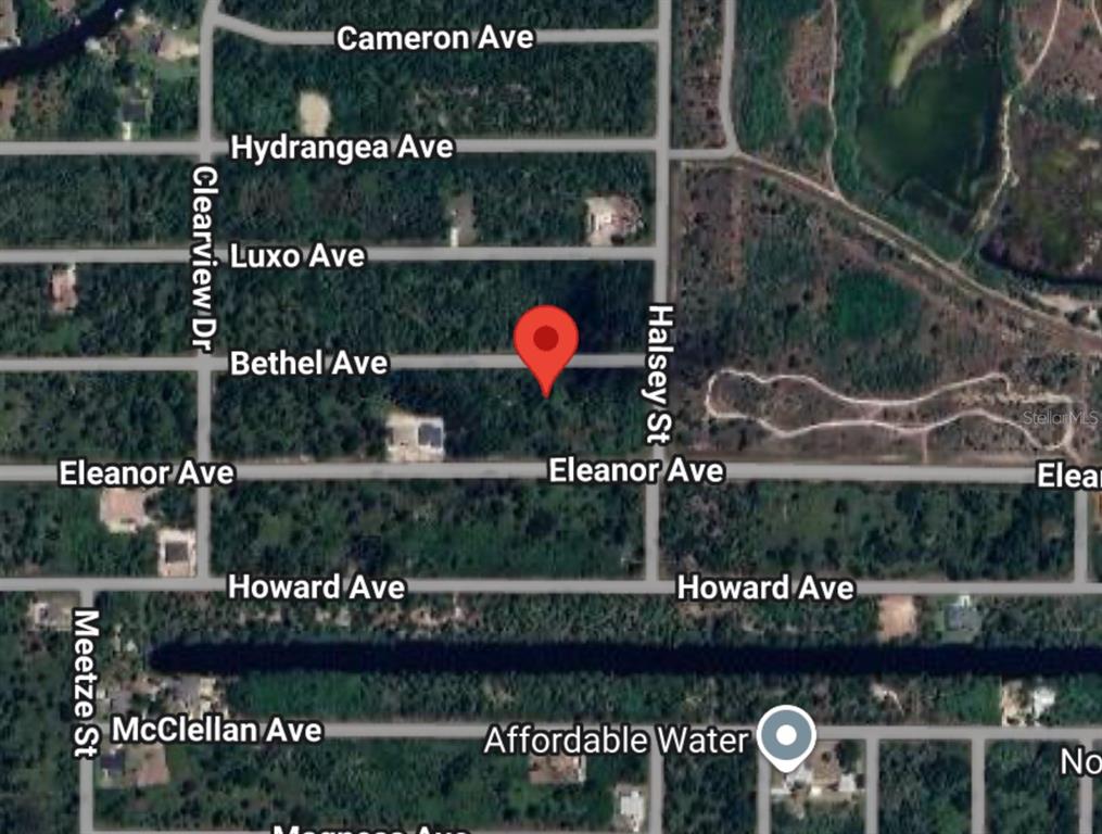 This is a map showing a red location pin on a plot of undeveloped land — 14233 BETHEL AVENUE, PORT CHARLOTTE, FL