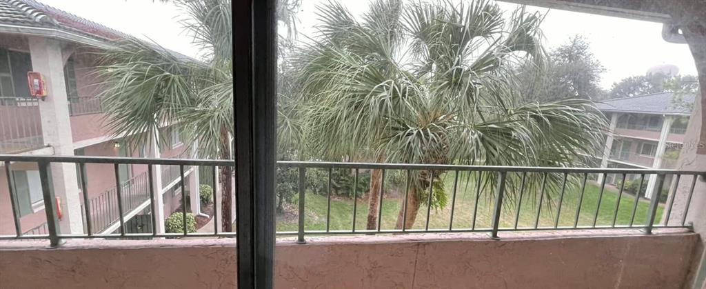 A view from a balcony overlooking palm trees and a neighboring apartment building — 139 OYSTER BAY CIRCLE UNIT 340, ALTAMONTE SPRINGS, FL