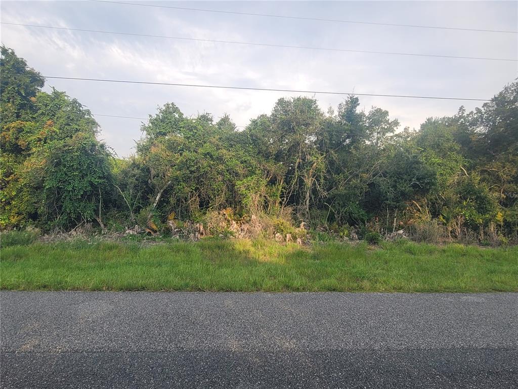 A paved road runs in front of a densely wooded, undeveloped plot of land — SW 43RD COURT UNIT 7, OCALA, FL