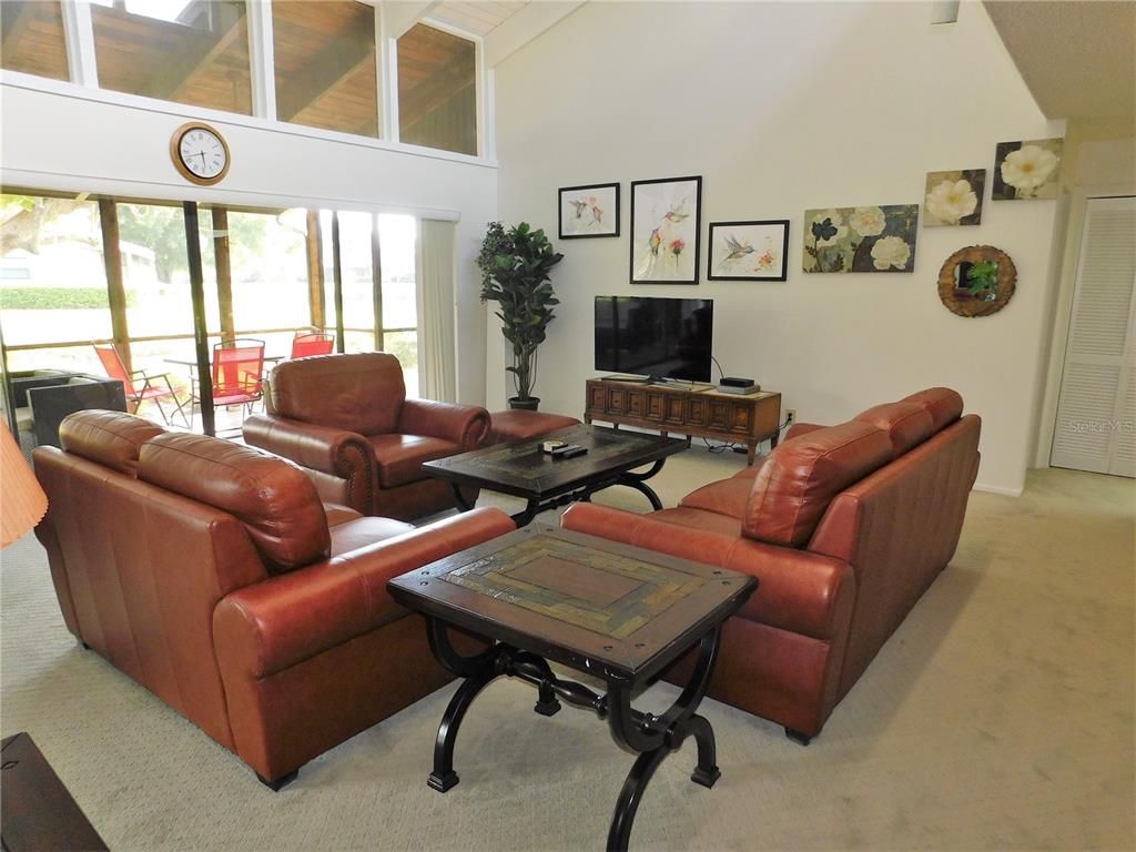 A living room features leather furniture, a television, and large windows overlooking a screened patio — 70 JOANNE PLACE UNIT 70, OLDSMAR, FL