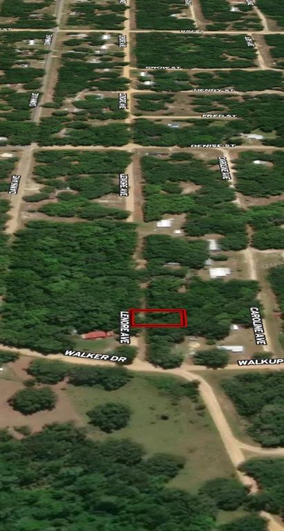 An aerial map view shows a rectangular plot of land outlined in red — LOT 34 LENORE AVENUE, INTERLACHEN, FL