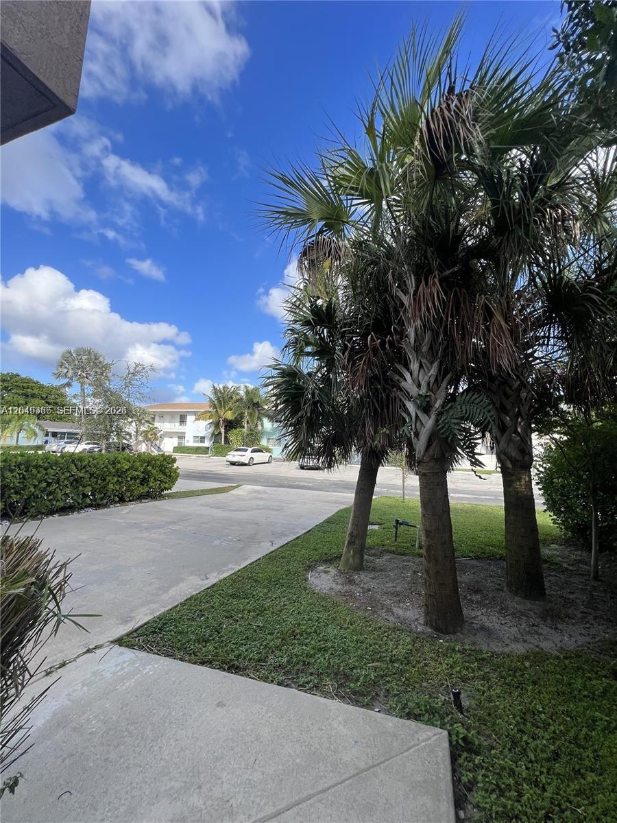 A paved driveway leads toward a parking area with palm trees under a blue sky — 1121 NE 23rd Ter # 1121, Pompano Beach FL 33062, POMPANO BEACH, FL