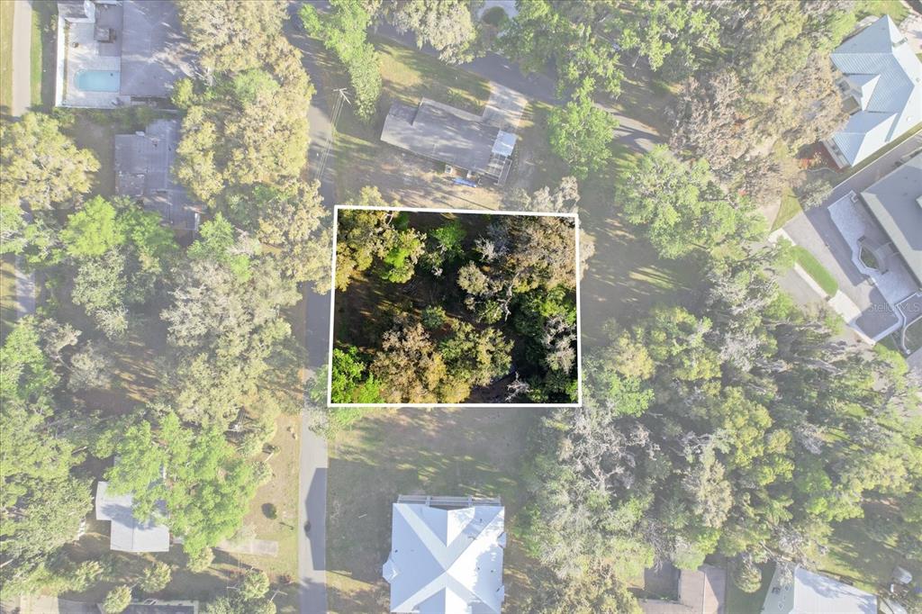 This aerial view shows a wooded, rectangular lot highlighted by a white border — 20 NW MAGNOLIA CIRCLE, CRYSTAL RIVER, FL