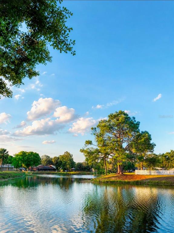 A large tree stands on the grassy bank of a pond under a blue sky — 3135 CROSS FOX DRIVE, MULBERRY, FL