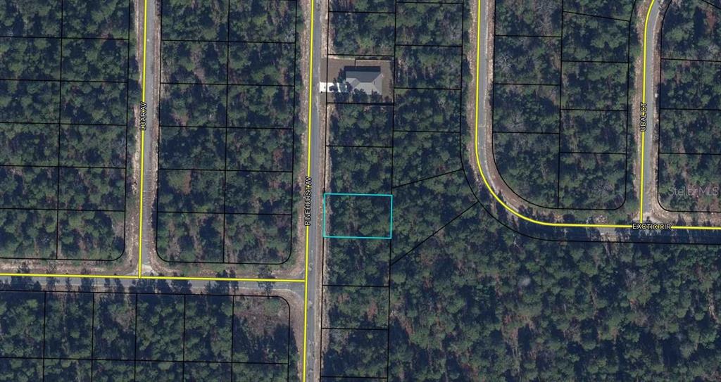 This is an aerial map showing a vacant, wooded residential lot outlined in blue — Lot 5 Unit 1 Blk 94 PINEHURST AVENUE, CHIPLEY, FL