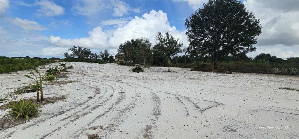 A wide, sandy, cleared lot features scattered small plants and mature trees under a cloudy sky — 18398 NW 286TH STREET, OKEECHOBEE, FL