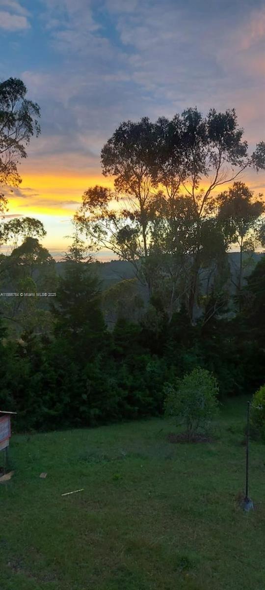 A grassy yard overlooks a dense forest under a vibrant sunset sky — Lote 4 Vereda La Honda, At 054, At