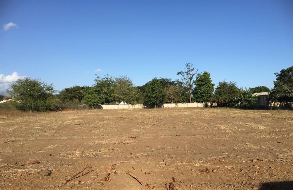 A large, flat, vacant dirt lot with trees and a concrete wall in the background — Sector Godreau ( #35) PENNSYLVANIA, SALINAS, PR