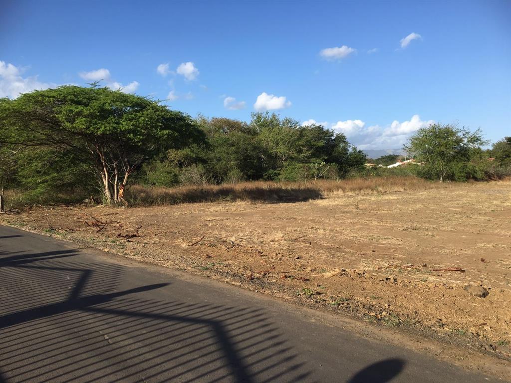 A paved road runs alongside a cleared, vacant lot with trees and brush in the background — Sector Godreau ( #35) PENNSYLVANIA, SALINAS, PR