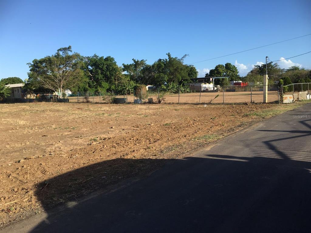 A vacant, dirt-covered lot is bordered by a chain-link fence and mature trees — Sector Godreau ( #35) PENNSYLVANIA, SALINAS, PR