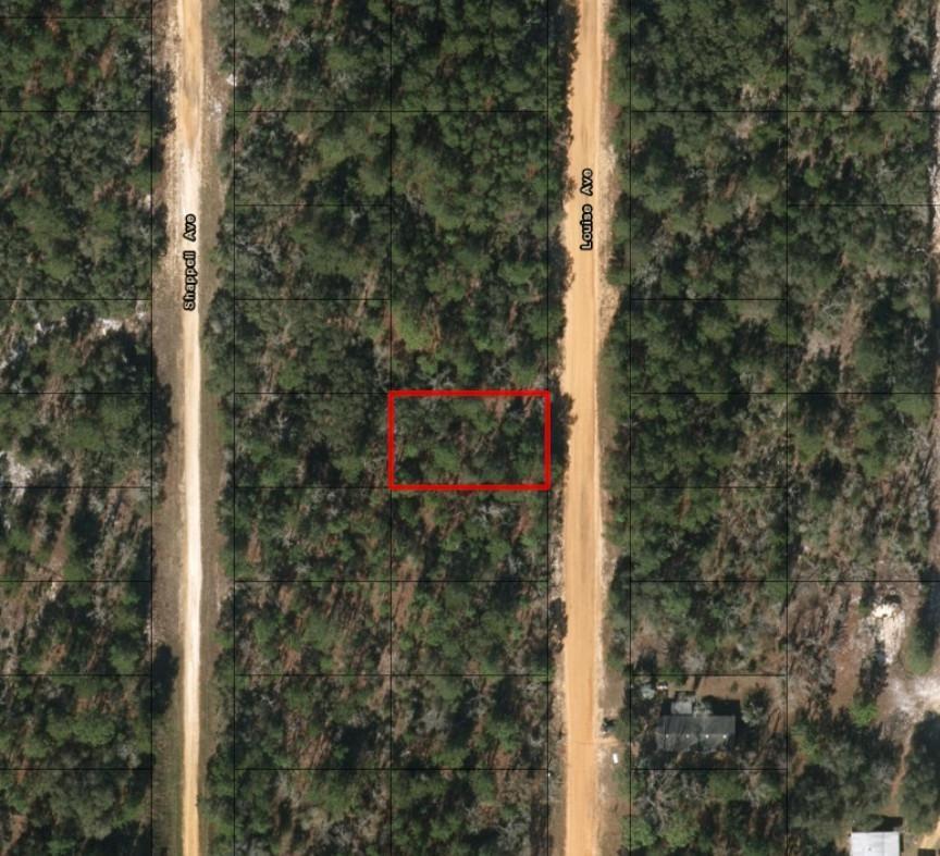 This aerial map shows a rectangular vacant lot highlighted in red between two dirt roads — 0 Louise Avenue, FL 32148, FL