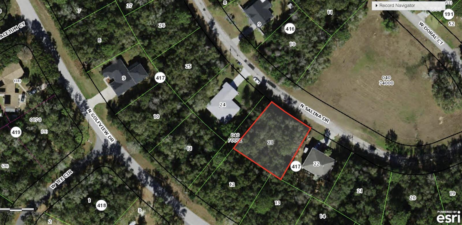 This is a satellite map showing a vacant, wooded residential lot outlined in red — 8798 N Salina Drive, FL 34434, FL