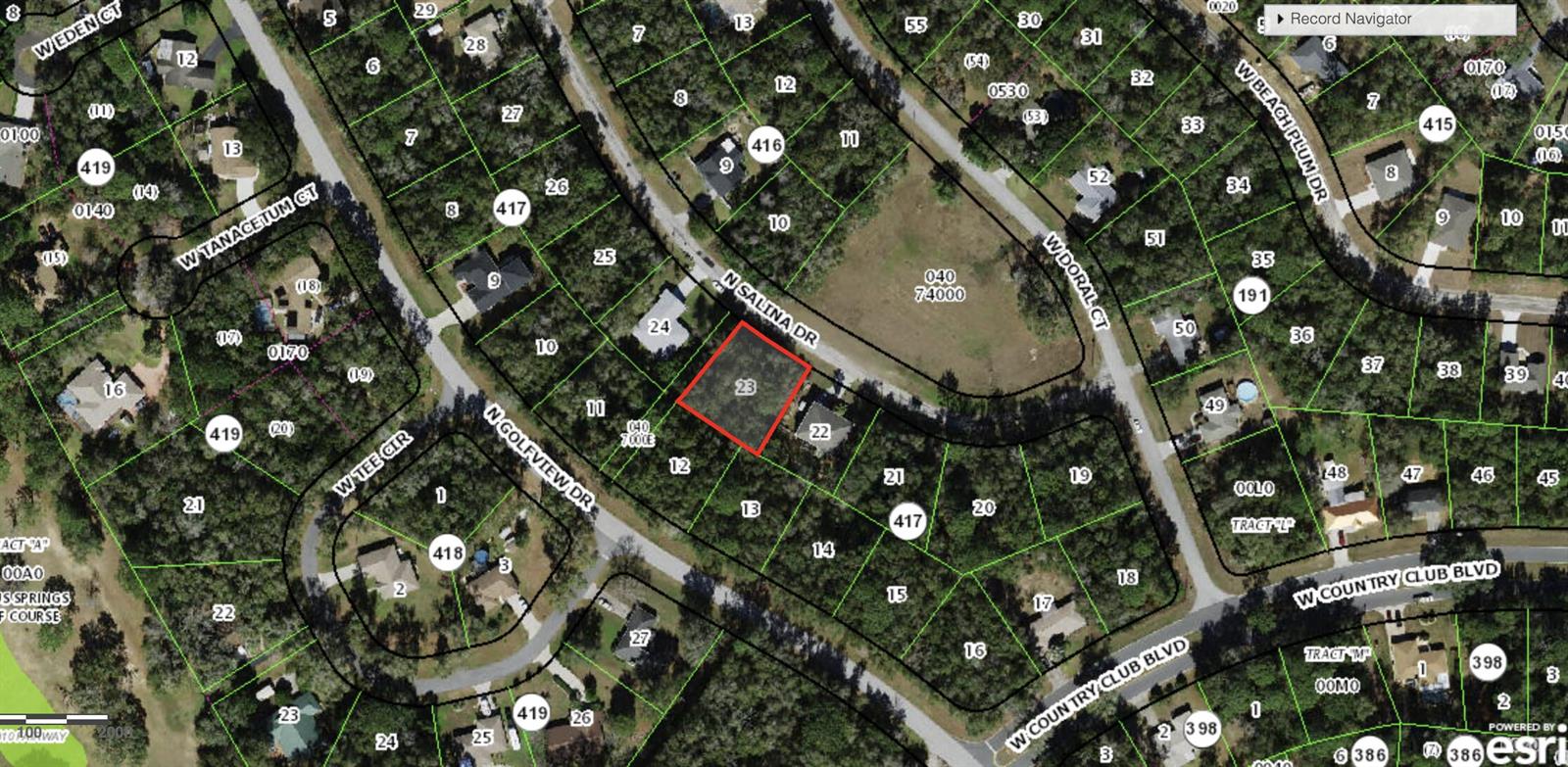 This is an aerial map showing a highlighted residential lot surrounded by wooded properties — 8798 N Salina Drive, FL 34434, FL
