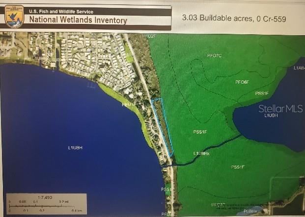 This is a National Wetlands Inventory map showing a property outlined in blue near water — 0 CR-559, AUBURNDALE, FL