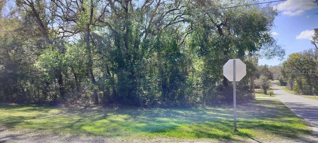 A vacant, wooded lot sits beside a paved road with a stop sign in the foreground — 517 S SAVARY AVENUE, INVERNESS, FL