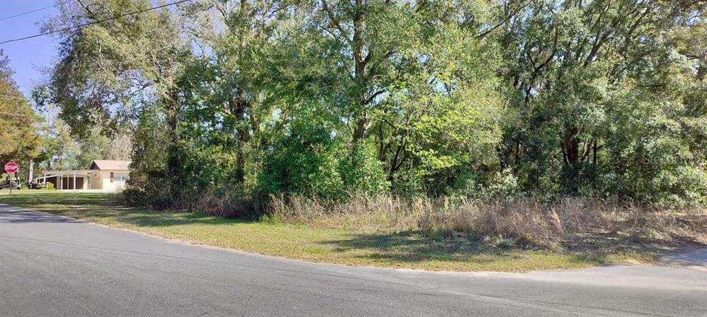 A paved road curves past a vacant, tree-covered lot next to a single-story house — 517 S SAVARY AVENUE, INVERNESS, FL