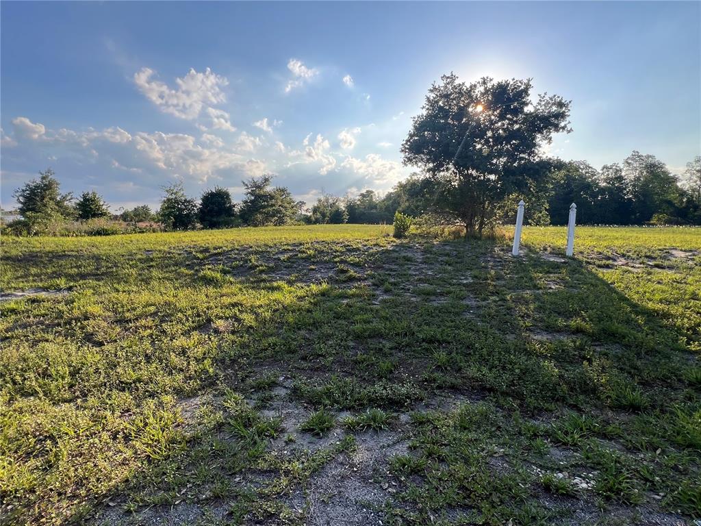 A grassy, sunlit vacant lot features a large tree and two white fence posts — 7513 S GEORGE BOULEVARD, SEBRING, FL