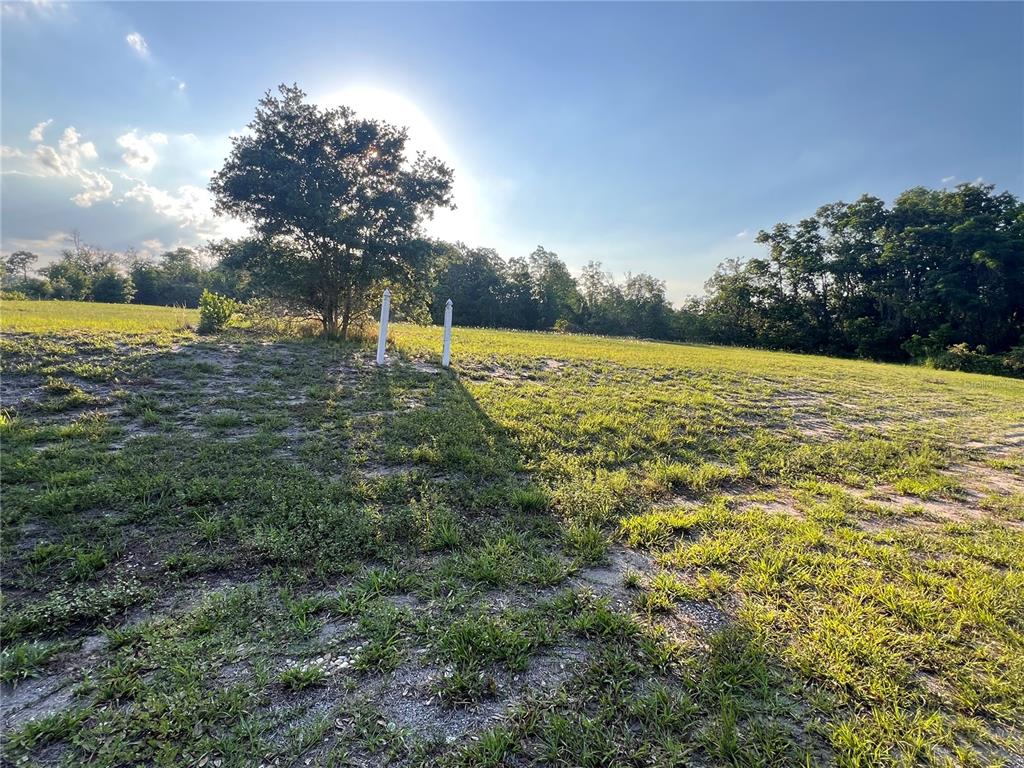 A grassy, sunlit vacant lot features a large tree and two white survey markers — 7513 S GEORGE BOULEVARD, SEBRING, FL