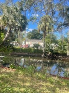 A view of a small pond in front of a house surrounded by palm trees — 7890 MARX DRIVE, NORTH FORT MYERS, FL