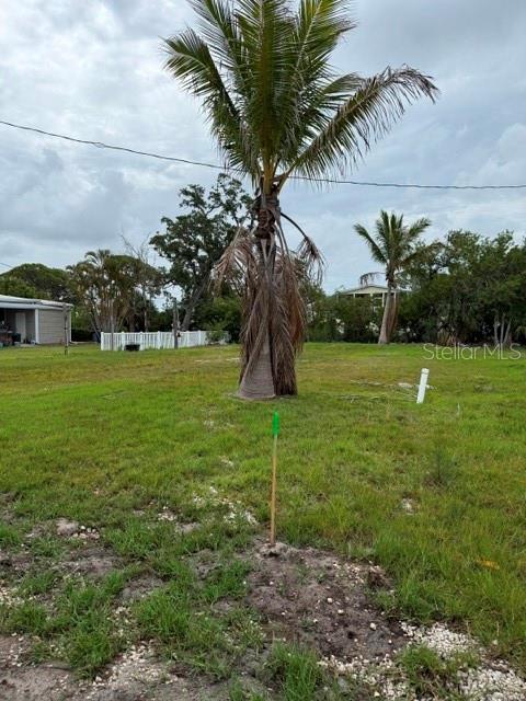 A tall palm tree stands in the center of a grassy, undeveloped residential lot — 4519 106TH STREET W, BRADENTON, FL