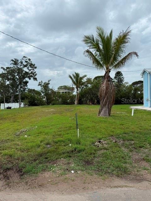 A vacant grassy lot features a prominent palm tree under a cloudy sky — 4519 106TH STREET W, BRADENTON, FL