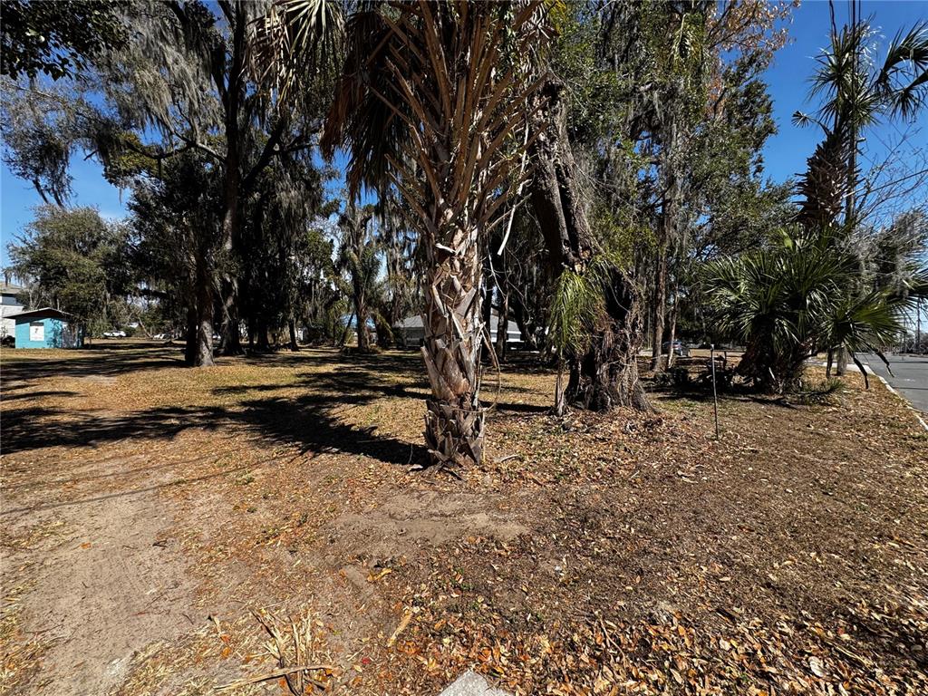 1180 E CHURCH STREET, BARTOW, FL — photo 2 of 10